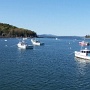 Fisherman bay, à Bar Harbor